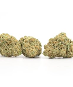 Alternative view of Afghan Hammer Strain