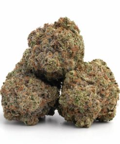 Alternative view of Afghan Kush