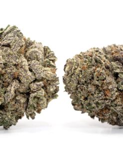 Alternative view of Blackwater Strain