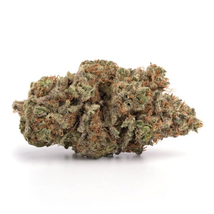 Blueberry Strain