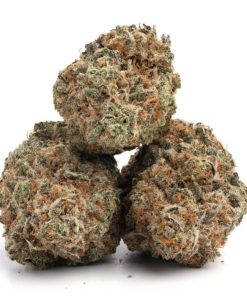 Alternative view of Blueberry Strain