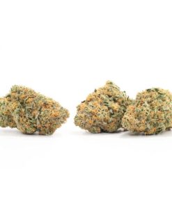Alternative view of California Orange Strain