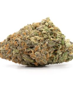 Candy Jack Strain