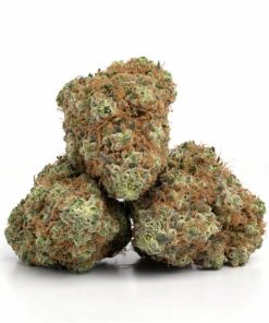 Alternative view of Chemdawg