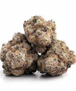 Alternative view of Cherry Mac Strain