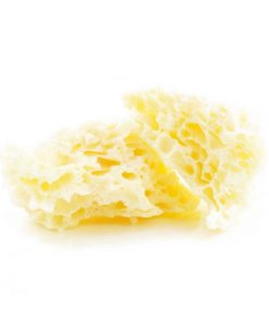 Alternative view of Crumble – Island Sweet Skunk