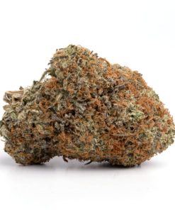 Hindu kush