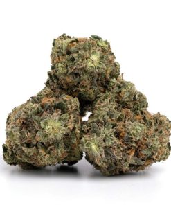 Alternative view of Jack Herer Strain