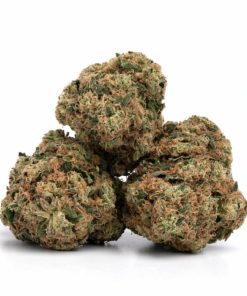Alternative view of Moby Dick Strain