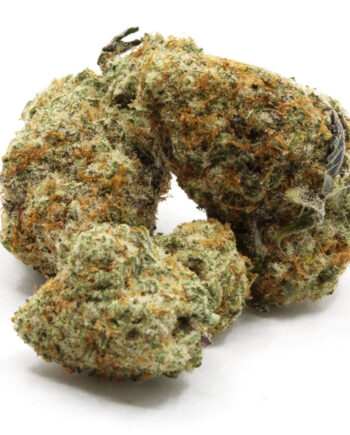 Animal Cookies New Batch