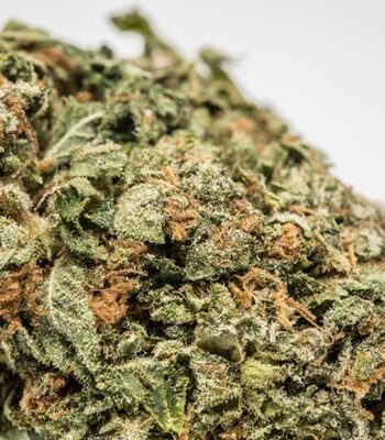 Bruce Banner Marijuana Strain
